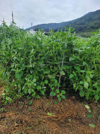 김유숙님의 자유주제 · 자유게시판 작성글 사진