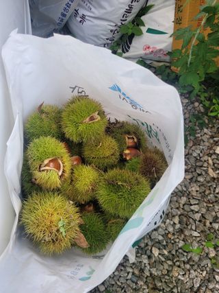 김유숙님의 자유주제 · 자유게시판 작성글 사진