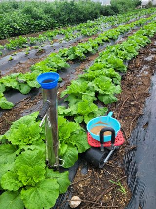 김유숙님의 자유주제 · 자유게시판 작성글 사진