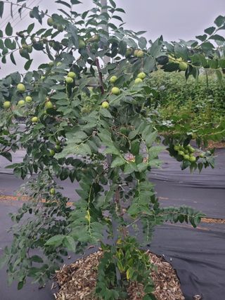 김유숙님의 자유주제 · 자유게시판 작성글 사진