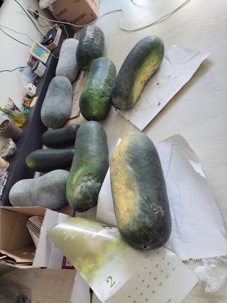 원빈님의 자유주제 · 자유게시판 작성글 사진