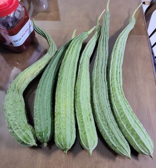 원빈님의 자유주제 · 자유게시판 작성글 사진