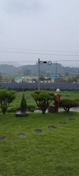 팜모닝 자유주제·자유게시판 게시글 이미지