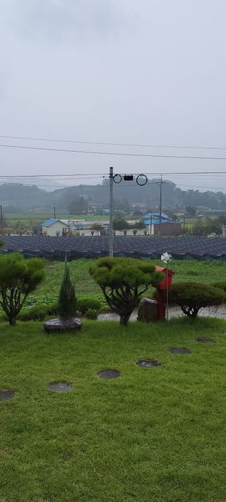 김종옥님의 자유주제 · 자유게시판 작성글 사진