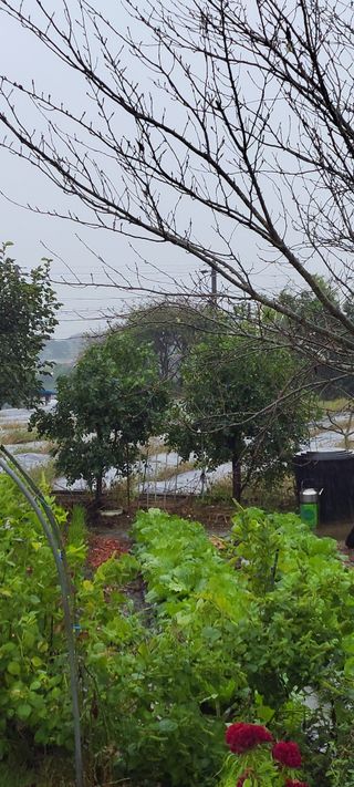 김종옥님의 자유주제 · 자유게시판 작성글 사진