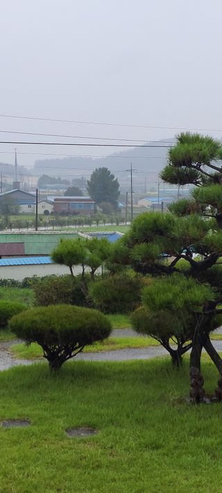 김종옥님의 자유주제 · 자유게시판 작성글 사진