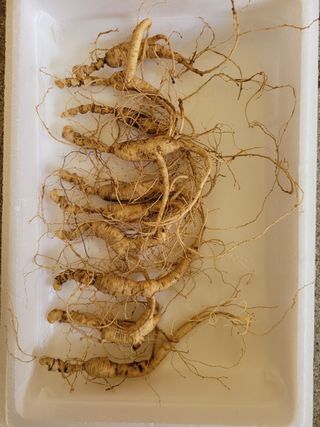 신재용님의 작성글 사진