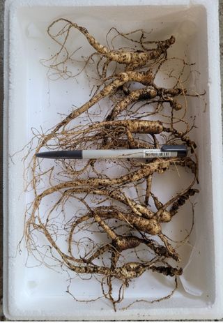 신재용님의 작성글 사진