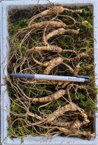 신재용님의 작성글 사진