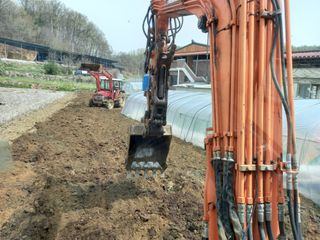 김영제님의 윷놀이 끝! 어떠셨나요? · 참여글 작성글 사진