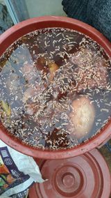 팜모닝 자유주제·자유게시판 게시글 이미지