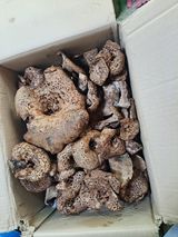 팜모닝 · 게시글 이미지