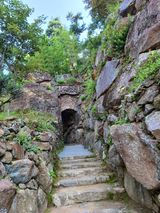 팜모닝 윷놀이 끝! 어떠셨나요?·참여글 게시글 이미지