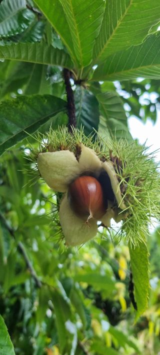 최영호님의 자유주제 · 자유게시판 작성글 사진