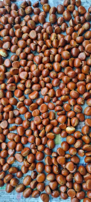 최영호님의 자유주제 · 자유게시판 작성글 사진