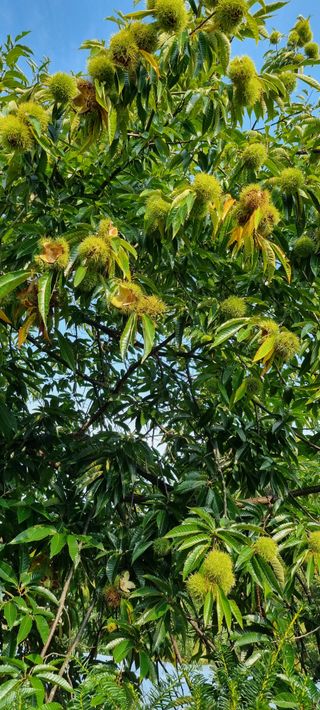 최영호님의 자유주제 · 자유게시판 작성글 사진