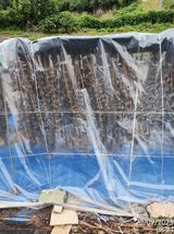 팜모닝 참깨·자유게시판 게시글 이미지