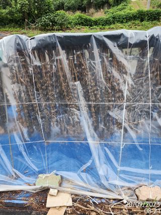 정병무님의 참깨 · 자유게시판 작성글 사진