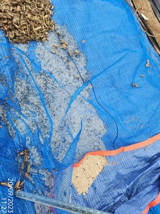 정병무님의 참깨 · 자유게시판 작성글 사진