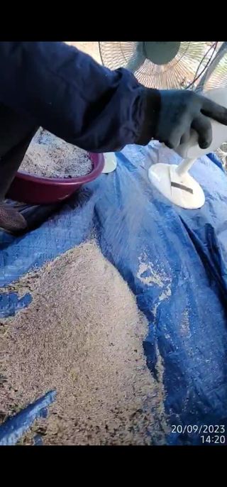 정병무님의 참깨 · 자유게시판 작성글 사진