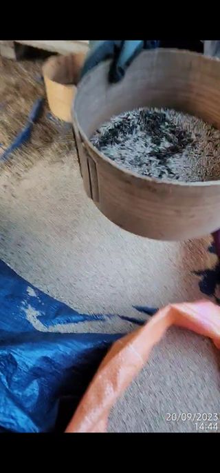 정병무님의 참깨 · 자유게시판 작성글 사진