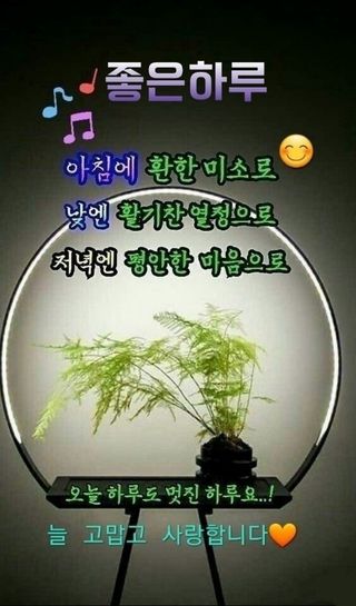 남 샘결 개둥맘님의 윷놀이 끝! 어떠셨나요? · 참여글 작성글 사진