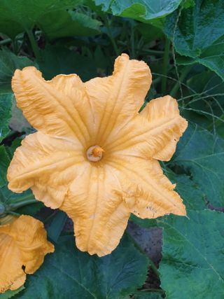 김홍배님의 윷놀이 끝! 어떠셨나요? · 참여글 작성글 사진