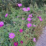 팜모닝 윷놀이 끝! 어떠셨나요?·참여글 게시글 이미지