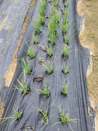 무등님의 자유주제 · 자유게시판 작성글 사진