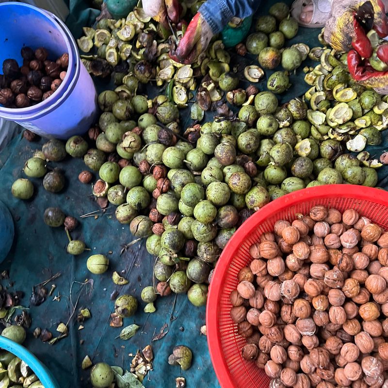 토종호두님의 장터 판매 상품 [토종알호두] 첨부 사진