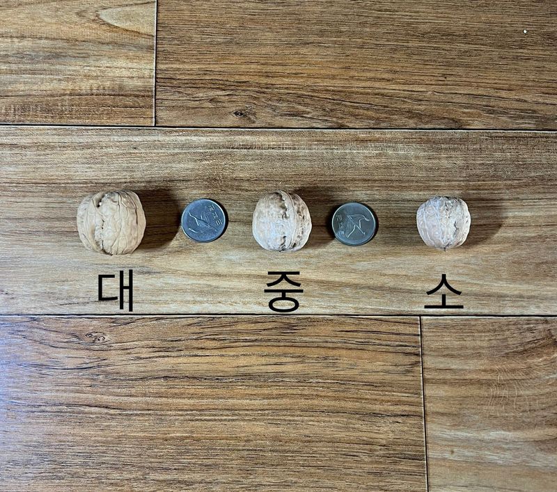 토종호두님의 장터 판매 상품 [토종알호두] 첨부 사진