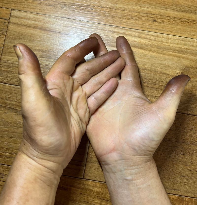 토종호두님의 장터 판매 상품 [토종알호두] 첨부 사진