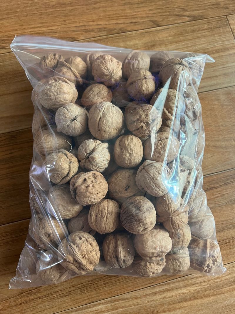 토종호두님의 장터 판매 상품 [토종알호두] 첨부 사진