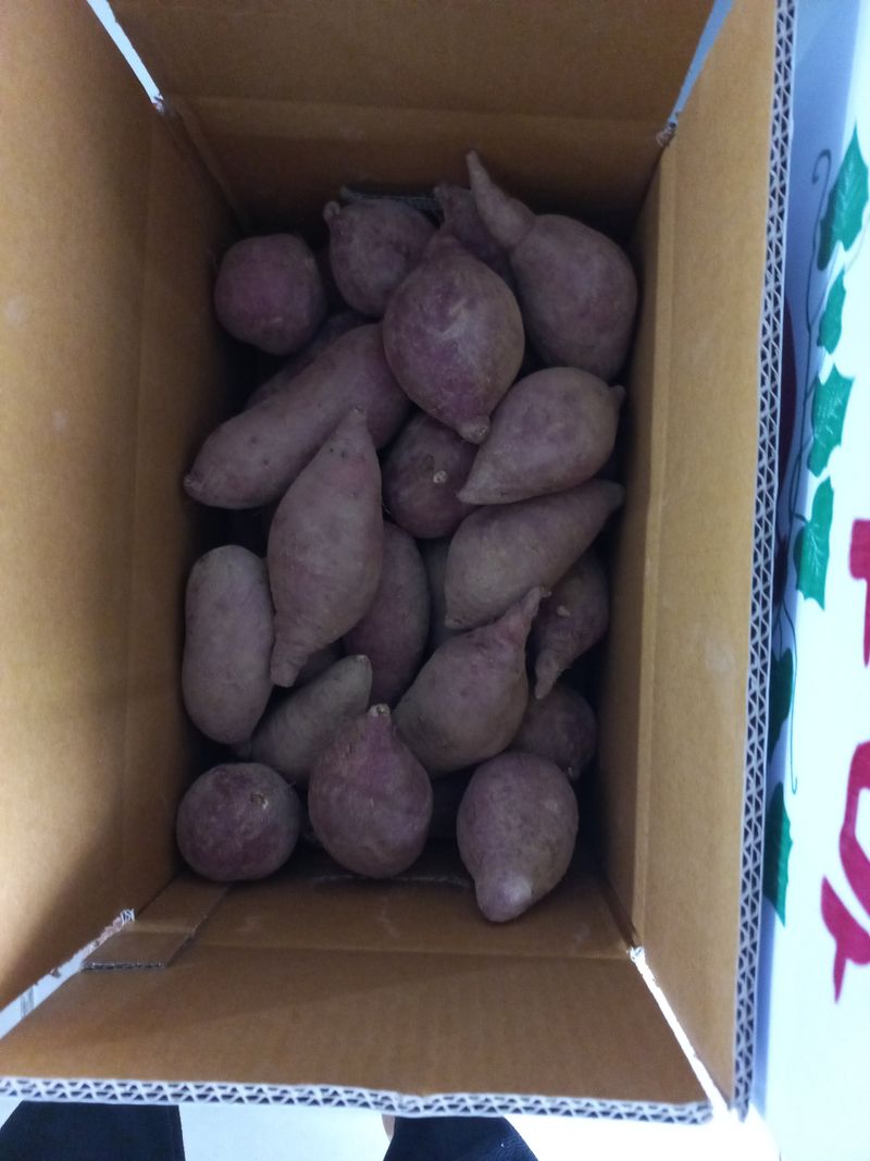 장터 상품 [고구마] 썸네일