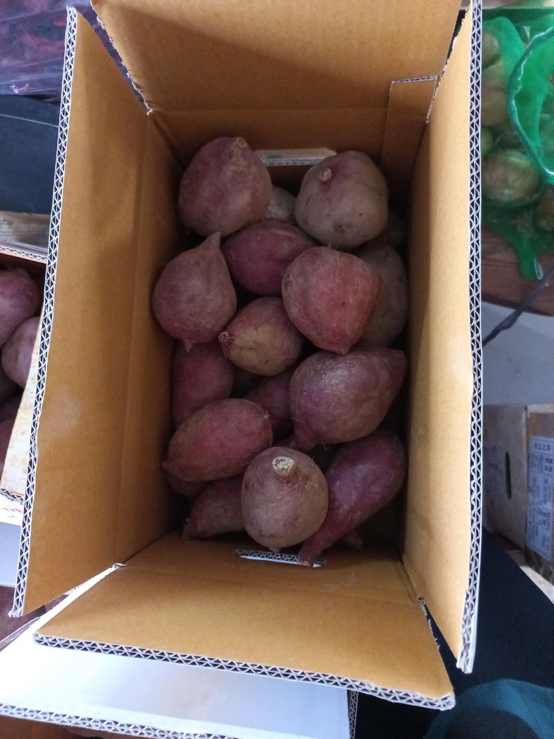 장터 상품 [고구마10키르] 썸네일