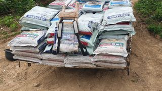 김성옥님의 옥수수 · 자유게시판 작성글 사진