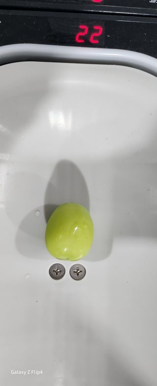 전진원님의 윷놀이 끝! 어떠셨나요? · 참여글 작성글 사진