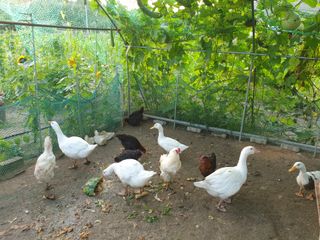 정복진님의 시금치 · 일상 작성글 사진