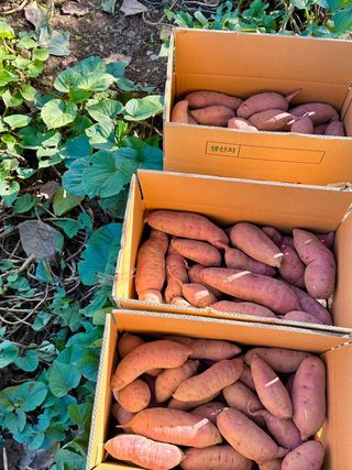 조순귀창원성산구사파님의 작성글 사진