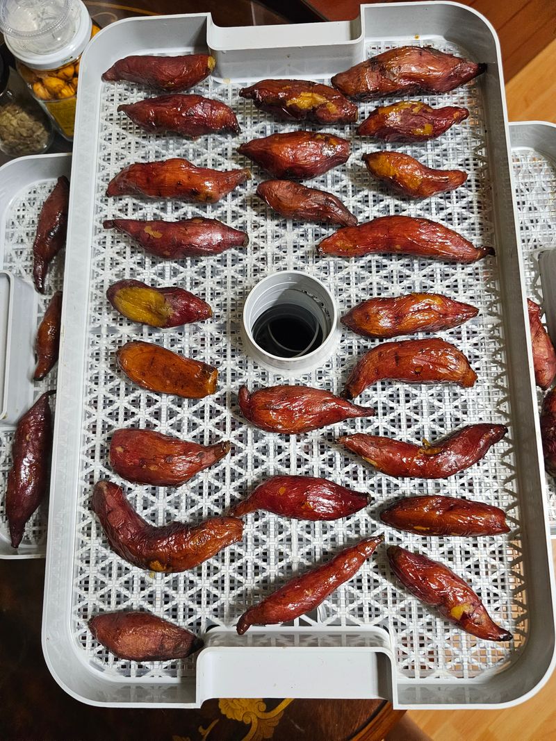 조순귀창원성산구사파님의 장터 판매 상품 [맛있는 꿀밤고구마 10kg ] 첨부 사진