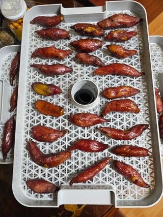 조순귀창원성산구사파님의 작성글 사진