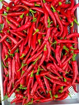 팜모닝 마늘·일상 게시글 이미지