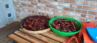 모용석님의 양배추 · 자유게시판 작성글 사진