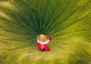 알 수 없음님의 양배추 · 자유게시판 작성글 사진