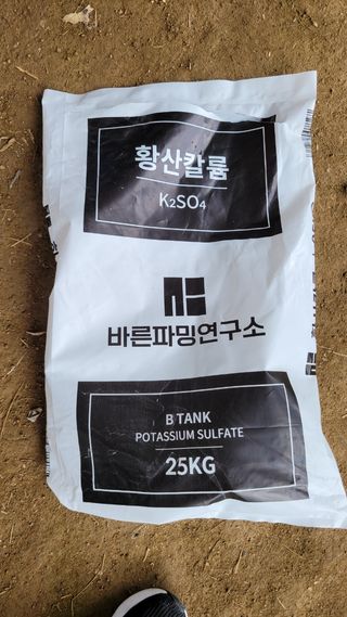 박성진님의 기타작물 · 병해충상담 작성글 사진