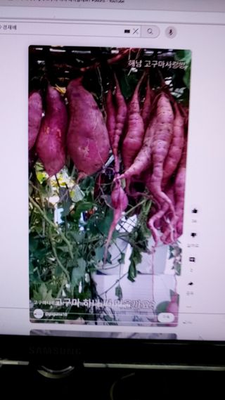 이광용님의 윷놀이 끝! 어떠셨나요? · 참여글 작성글 사진