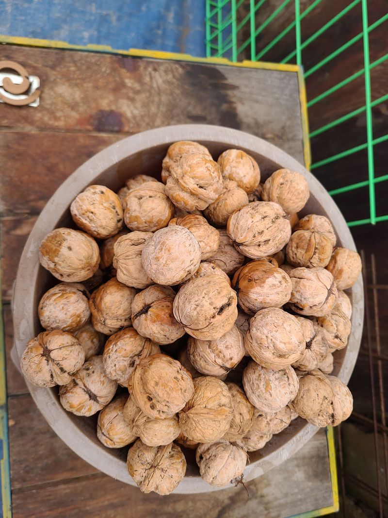 장터 상품 [호두100개] 썸네일