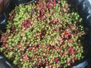 노루목 농장님의 작성글 사진