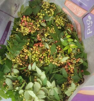 노루목 농장님의 작성글 사진