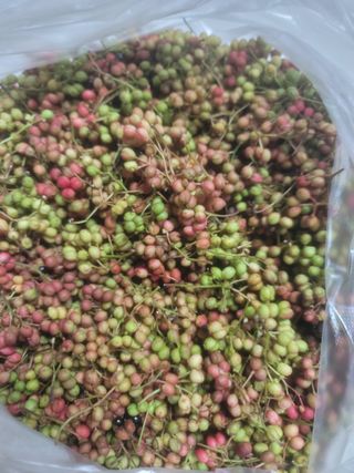 노루목 농장님의 작성글 사진